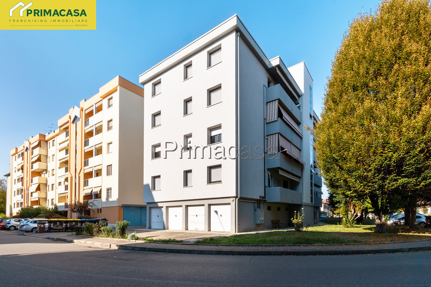 immagine (13).jpg immagine (13).jpg