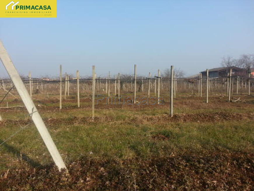 20190219_095046.jpg 20190219_095046.jpg