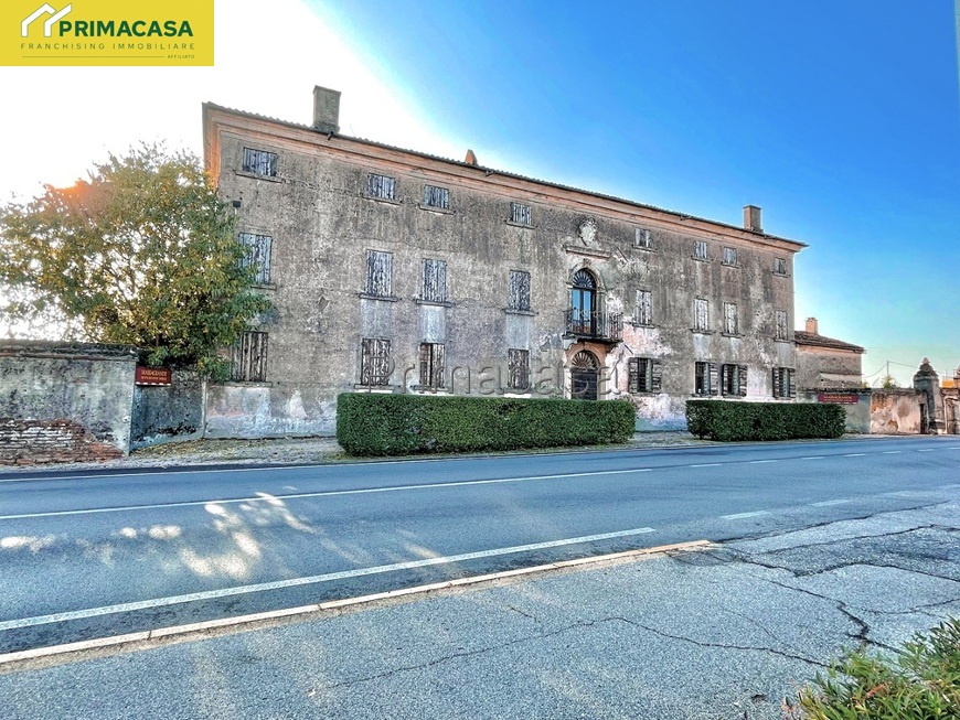 IMG_5565.jpg IMG_5565.jpg