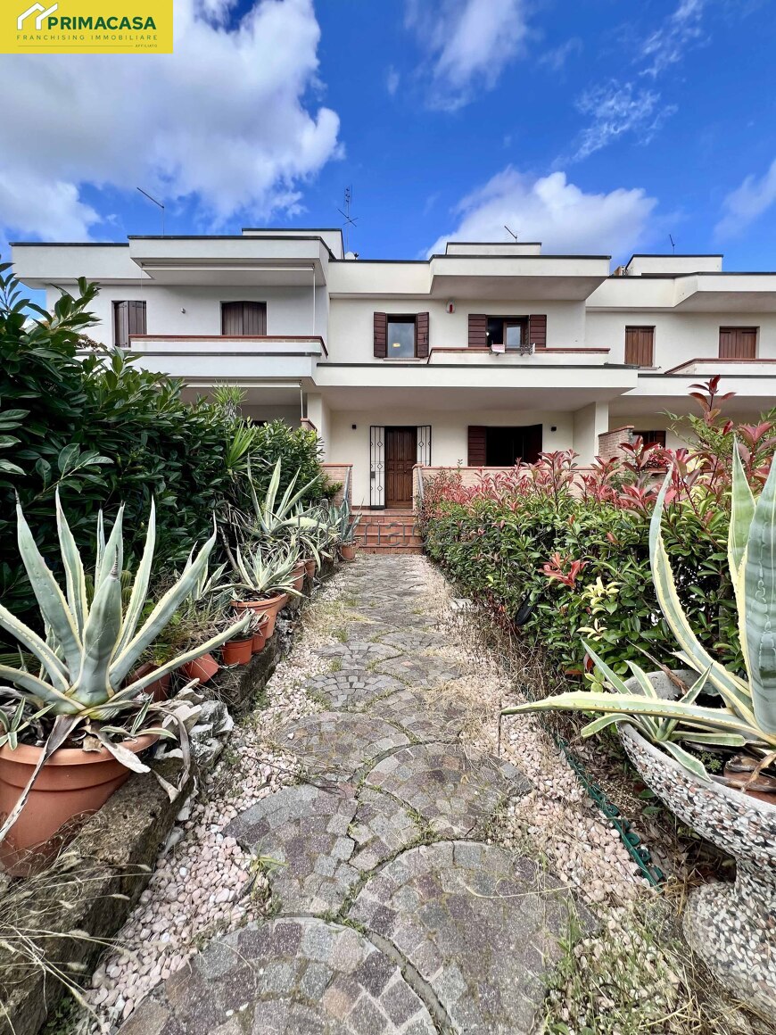 image00014.jpg image00014.jpg