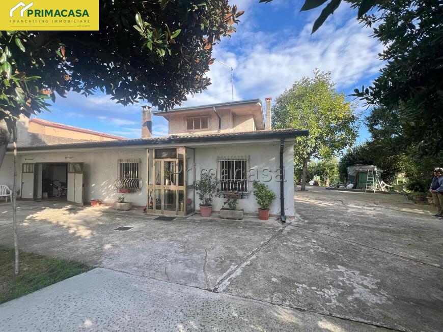 MAGA95.jpg MAGA95.jpg