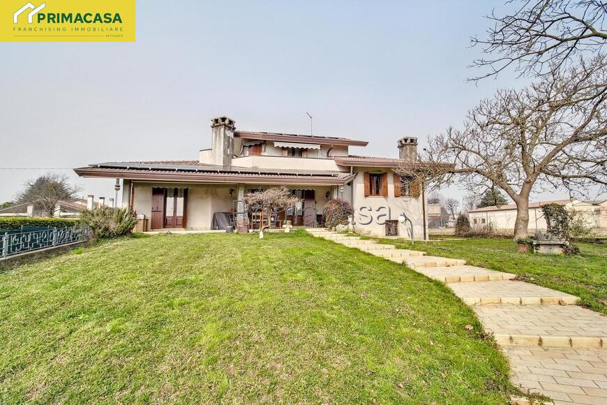 IMG_1154.jpeg IMG_1154.jpeg