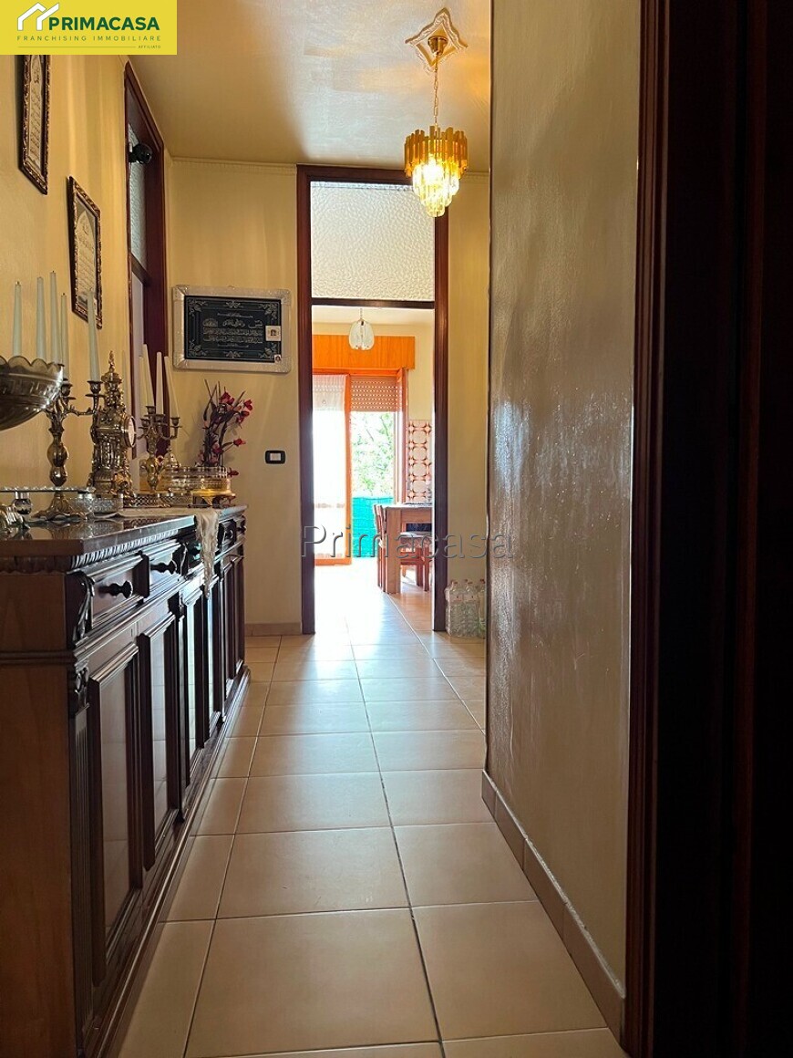 IMG-20251006-WA0030.jpg IMG-20251006-WA0030.jpg