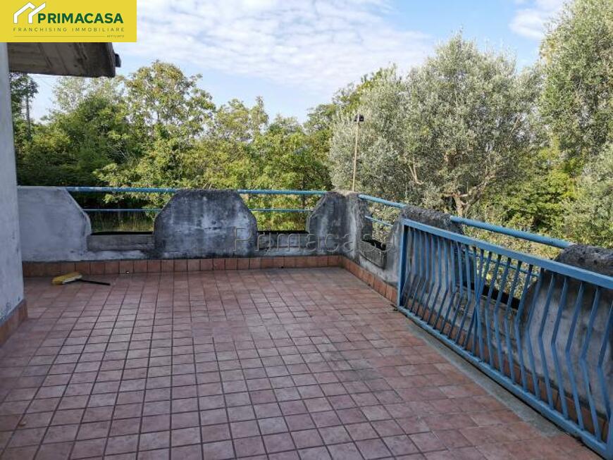 IMG_20250825_095500.jpg IMG_20250825_095500.jpg