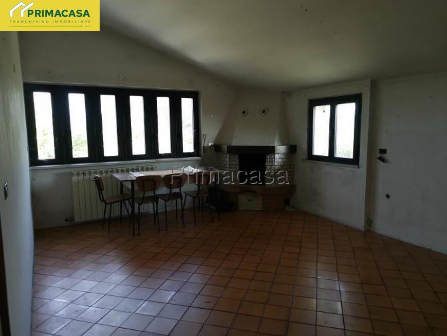 IMG_20250825_100152.jpg IMG_20250825_100152.jpg