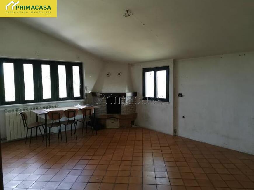 IMG_20250825_100224.jpg IMG_20250825_100224.jpg