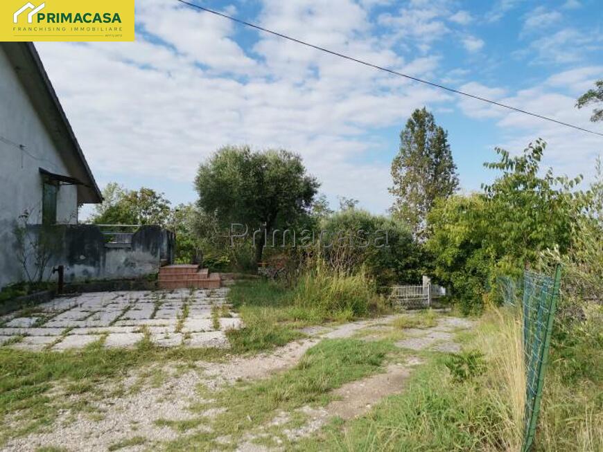 IMG_20250825_094458.jpg IMG_20250825_094458.jpg