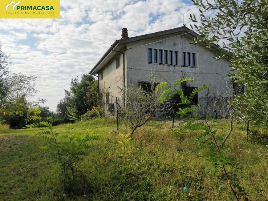 IMG_20250825_094531.jpg IMG_20250825_094531.jpg