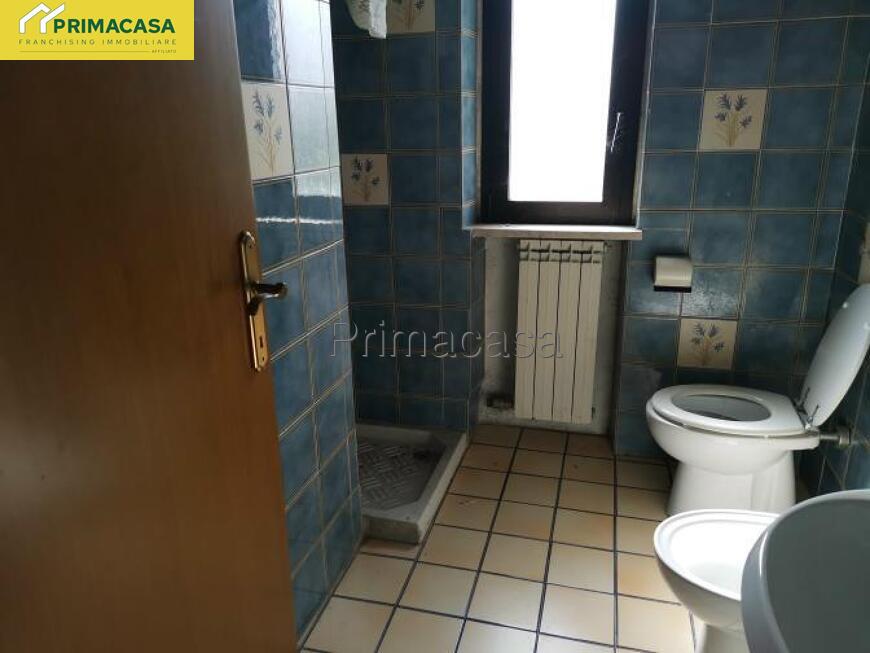 IMG_20250825_100250.jpg IMG_20250825_100250.jpg