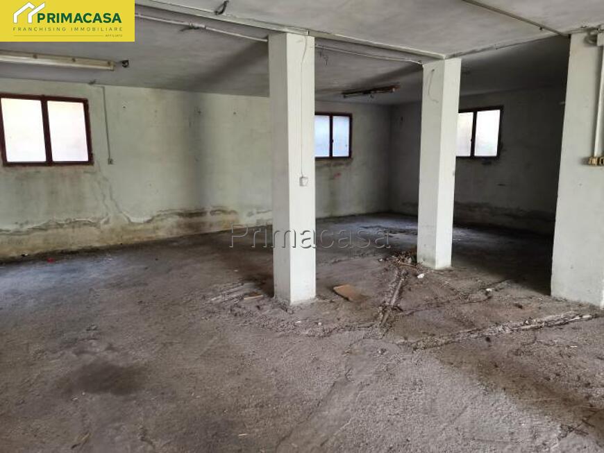 IMG_20250825_095224.jpg IMG_20250825_095224.jpg