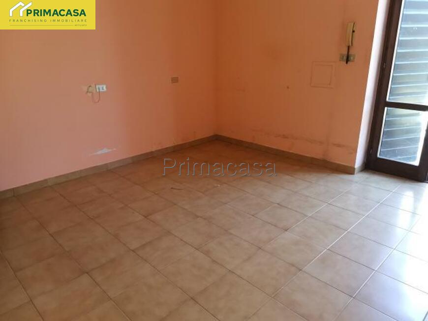 IMG_20250825_100032.jpg IMG_20250825_100032.jpg