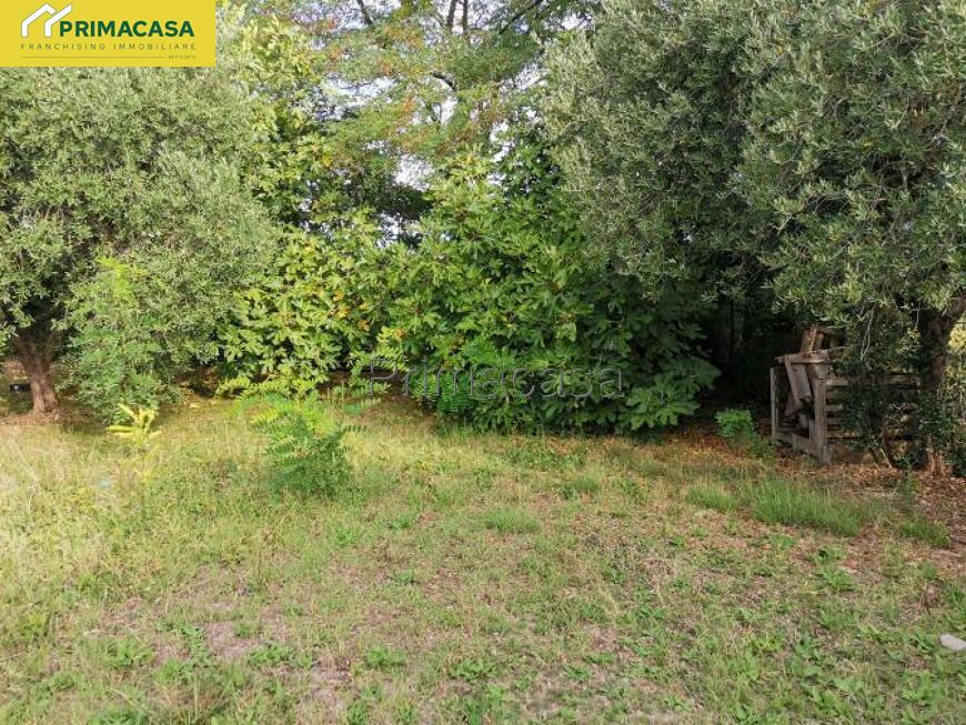 IMG_20250825_094503.jpg IMG_20250825_094503.jpg