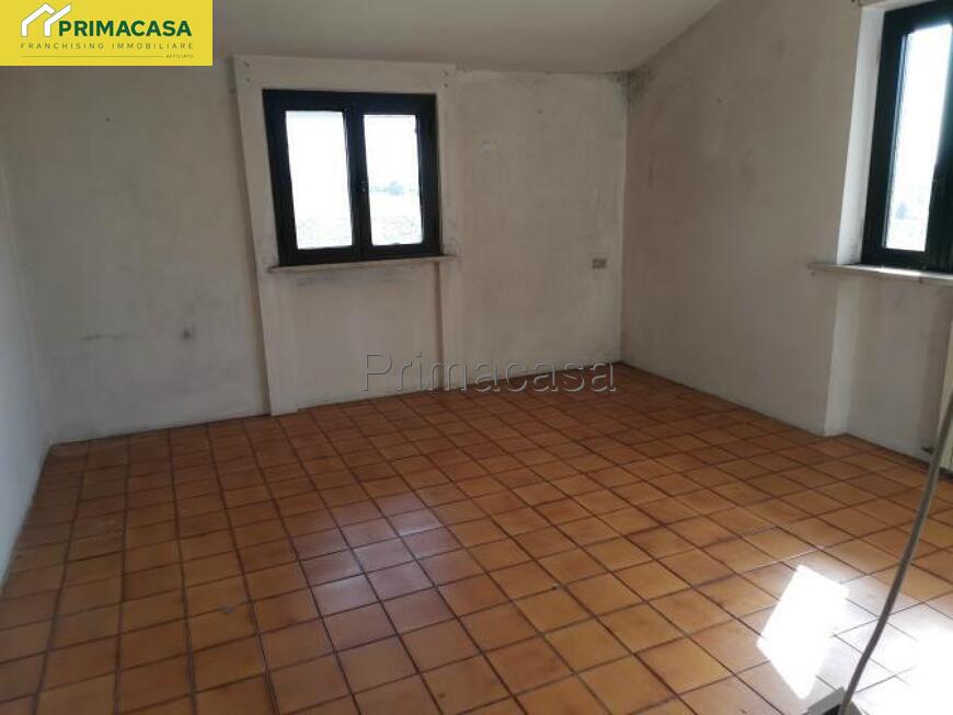 IMG_20250825_100244.jpg IMG_20250825_100244.jpg