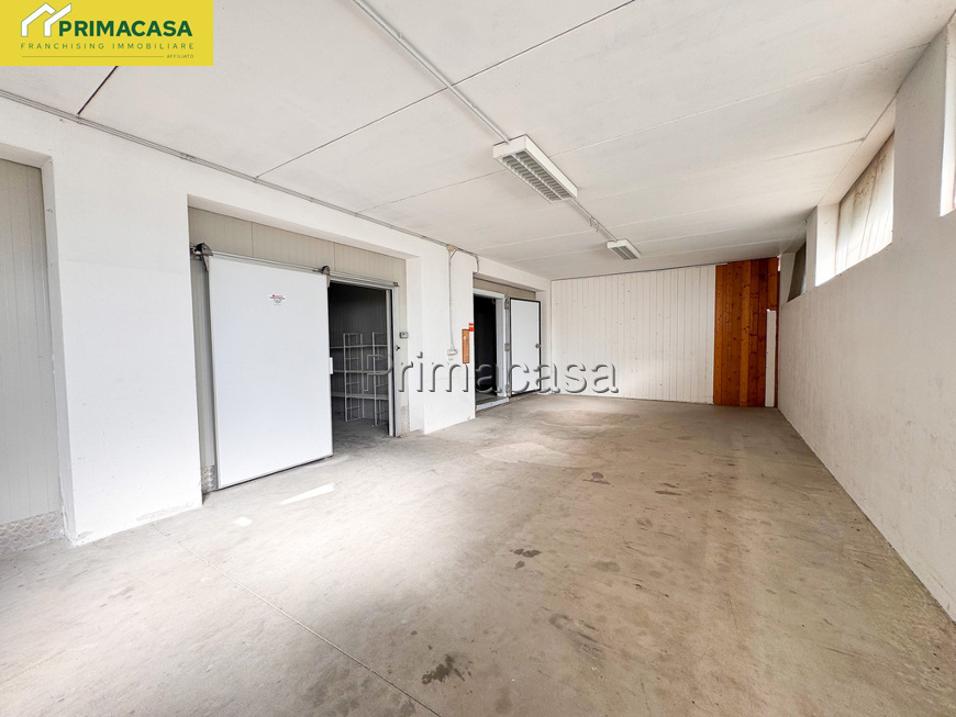 IMG_5565.jpg IMG_5565.jpg