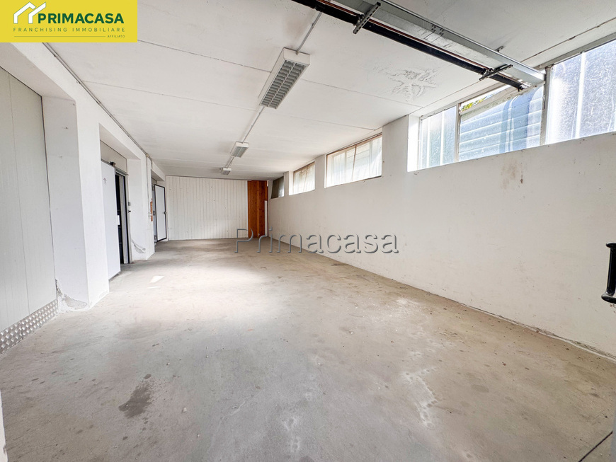 IMG_5564.jpg IMG_5564.jpg