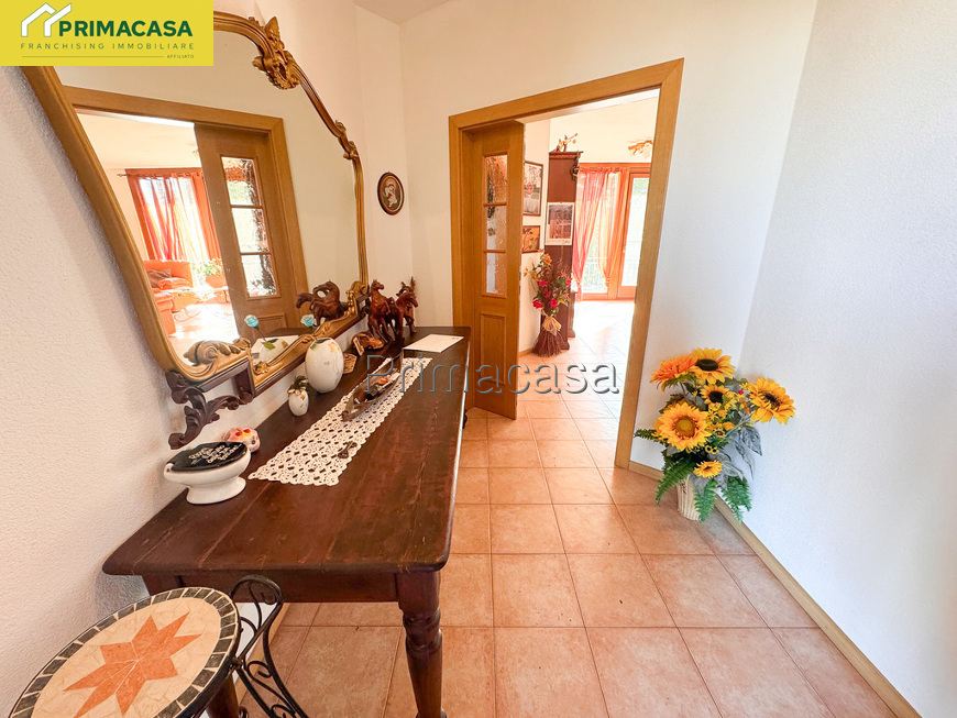 IMG_5594.jpg IMG_5594.jpg