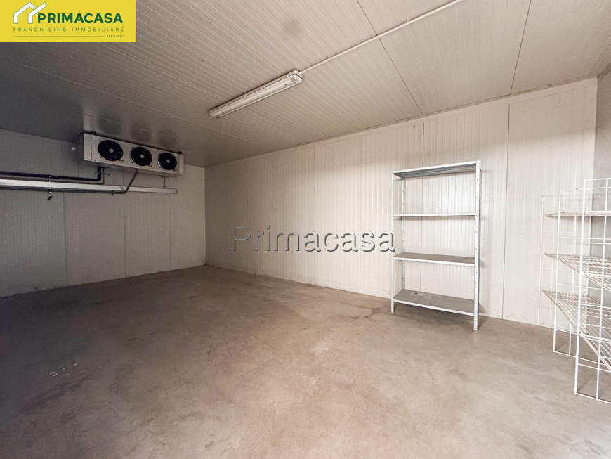 IMG_5566.jpg IMG_5566.jpg