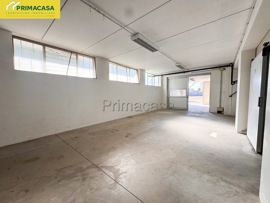 IMG_5570.jpg IMG_5570.jpg