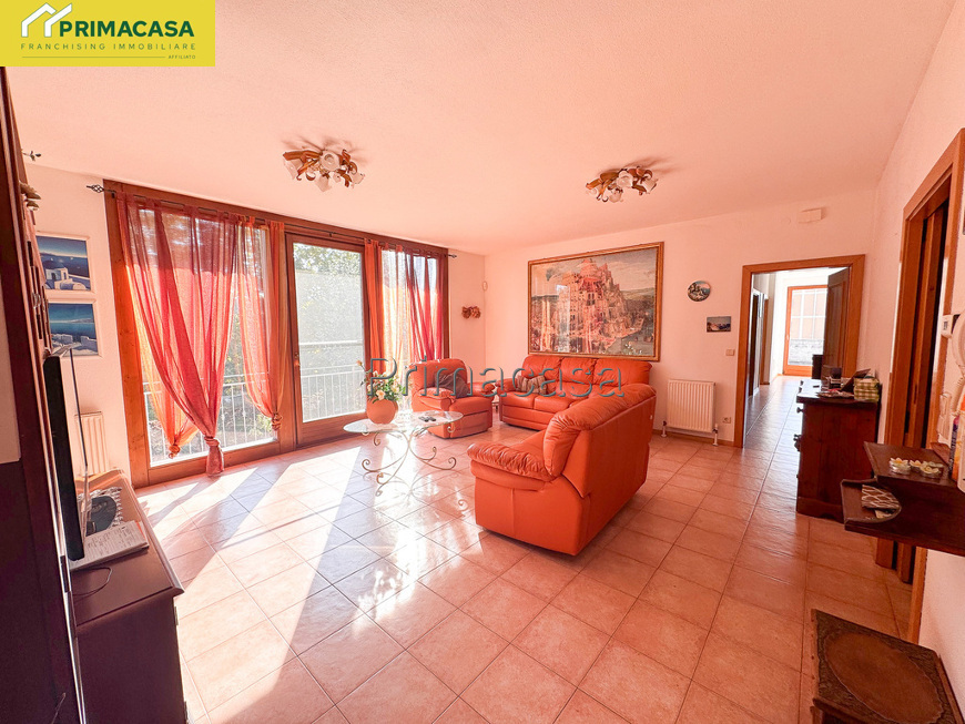 IMG_5595.jpg IMG_5595.jpg