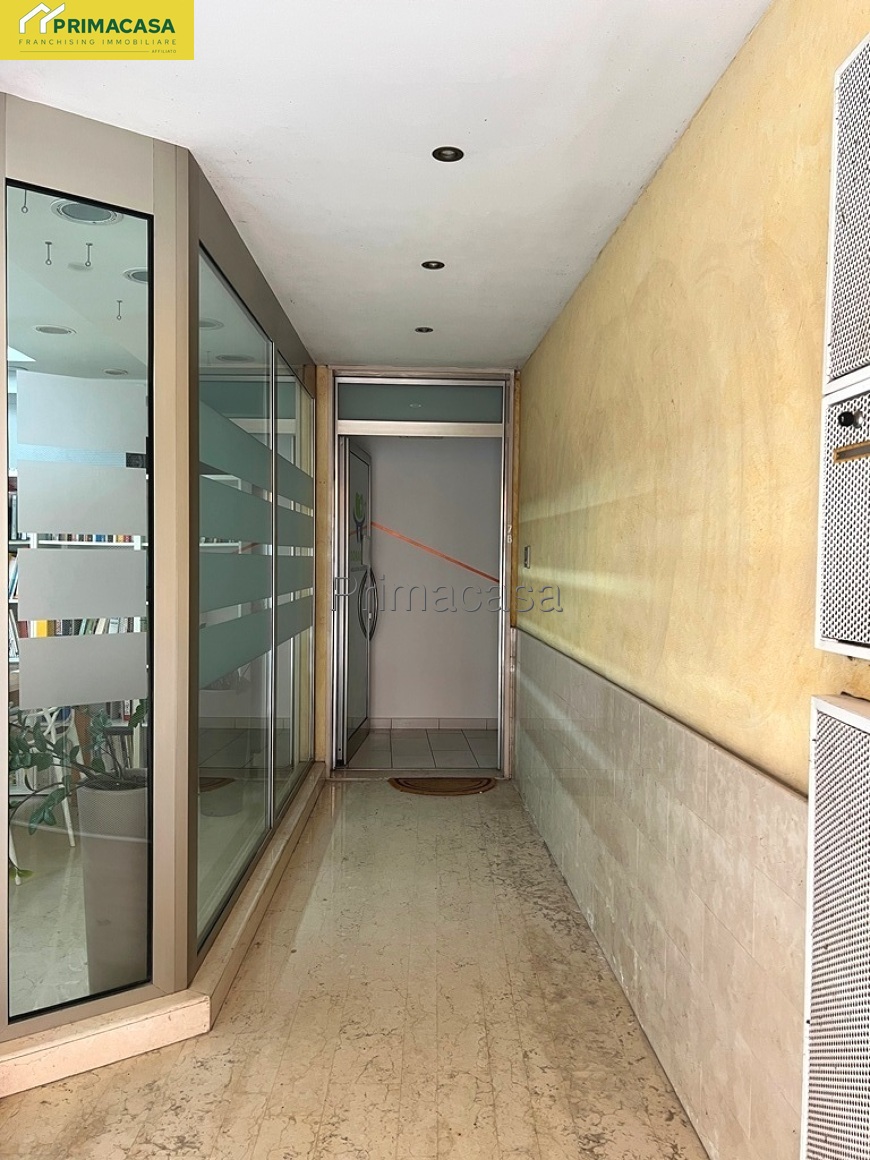 IMG_5886.JPG IMG_5886.JPG