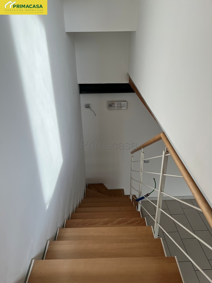 IMG_5896.JPG IMG_5896.JPG