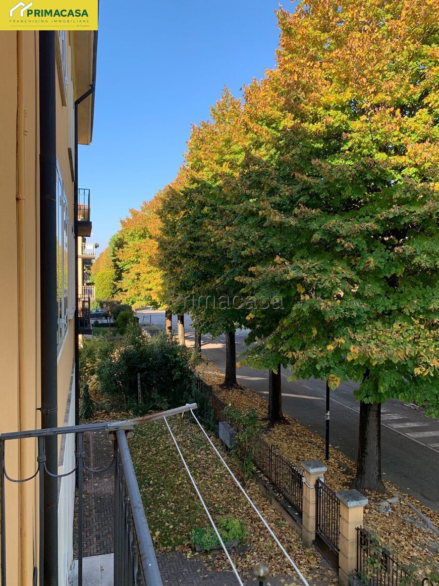 IMG-20251016-WA0025.jpg IMG-20251016-WA0025.jpg