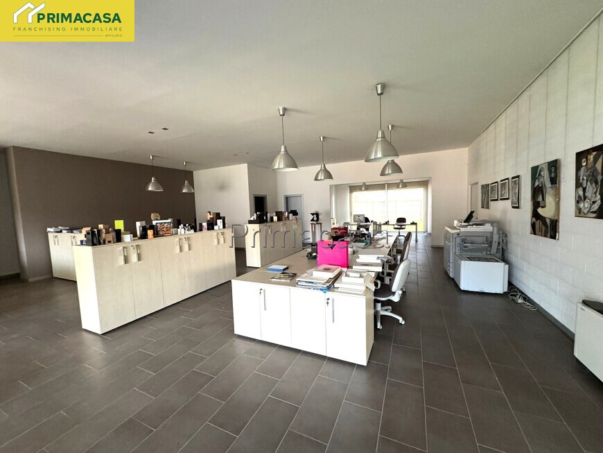 IMG-20250117-WA0016.jpg IMG-20250117-WA0016.jpg