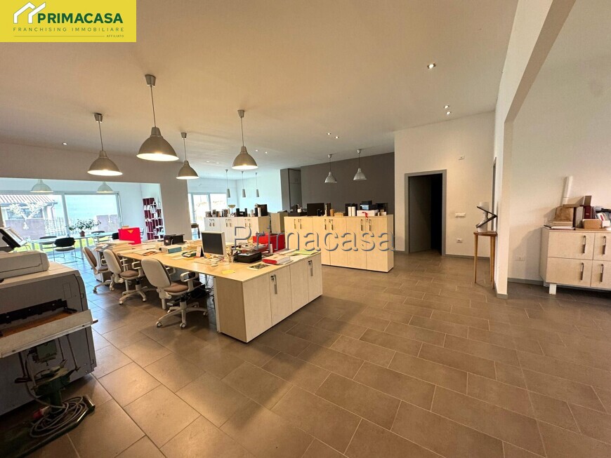 IMG-20250117-WA0028.jpg IMG-20250117-WA0028.jpg