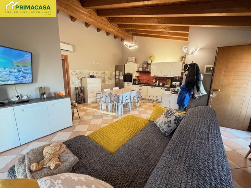 IMG_5833.jpg IMG_5833.jpg