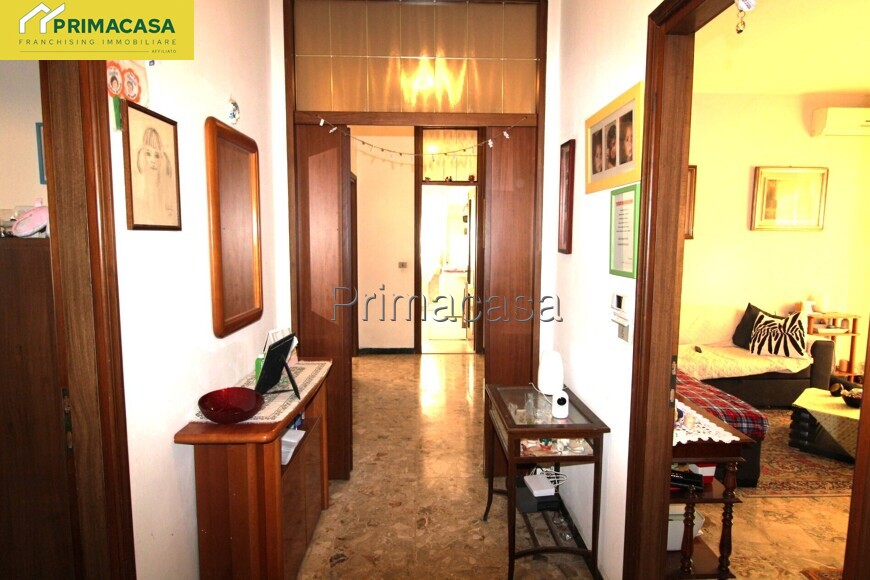 IMG_7149.JPG IMG_7149.JPG