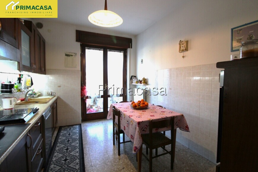 IMG_7144.JPG IMG_7144.JPG