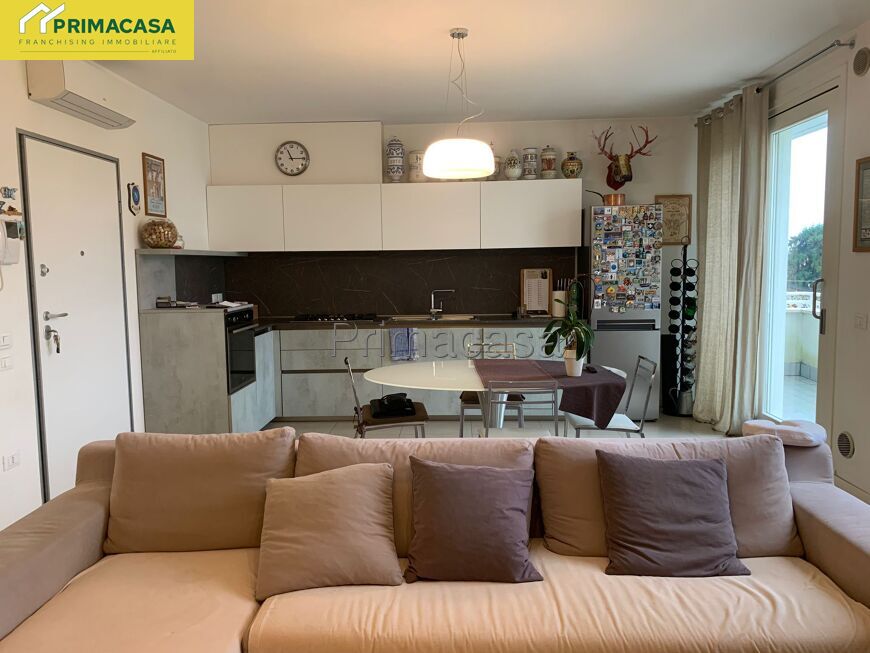 SALA (11).jpg SALA (11).jpg