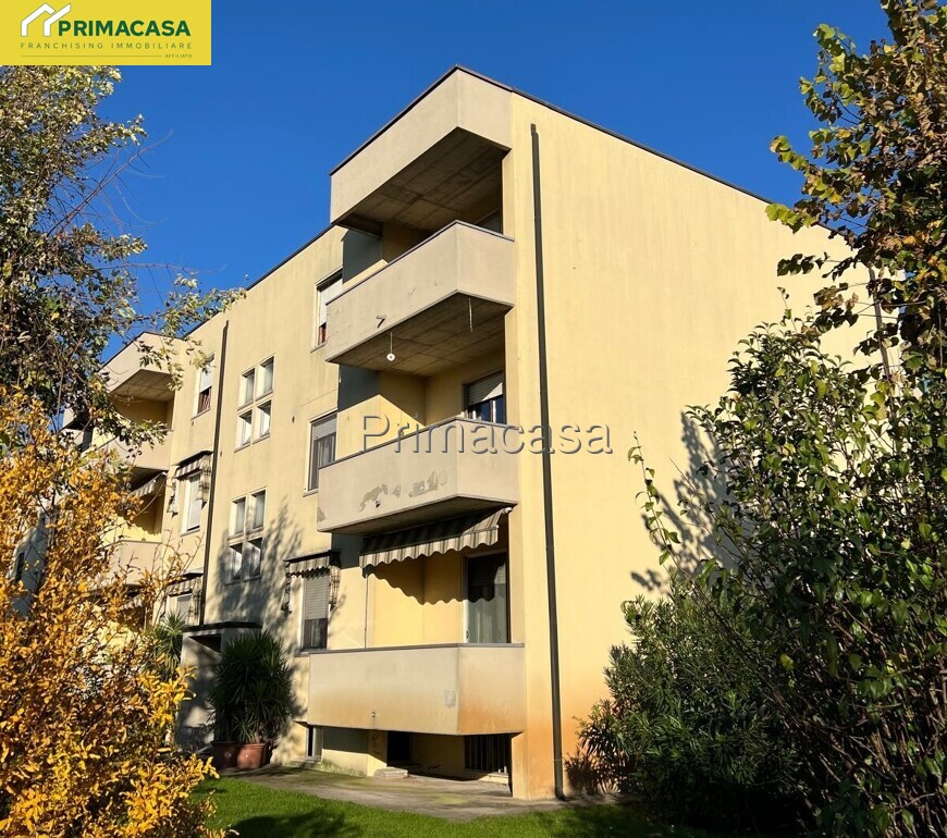 IMG-20251104-WA0006.jpg IMG-20251104-WA0006.jpg