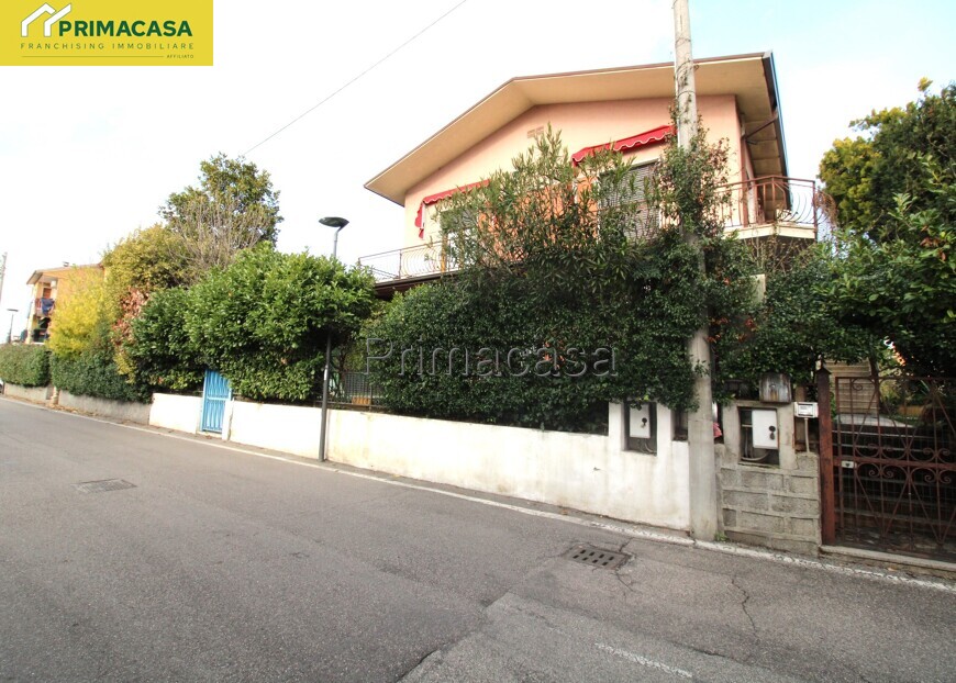 IMG_7887.JPG IMG_7887.JPG