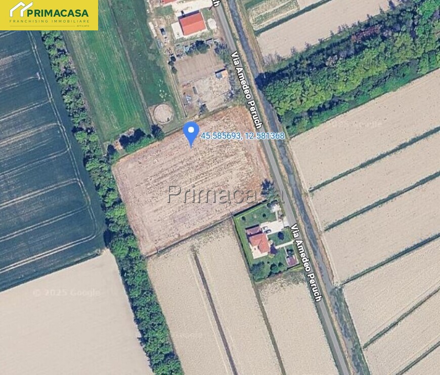 giusta riki.jpg giusta riki.jpg