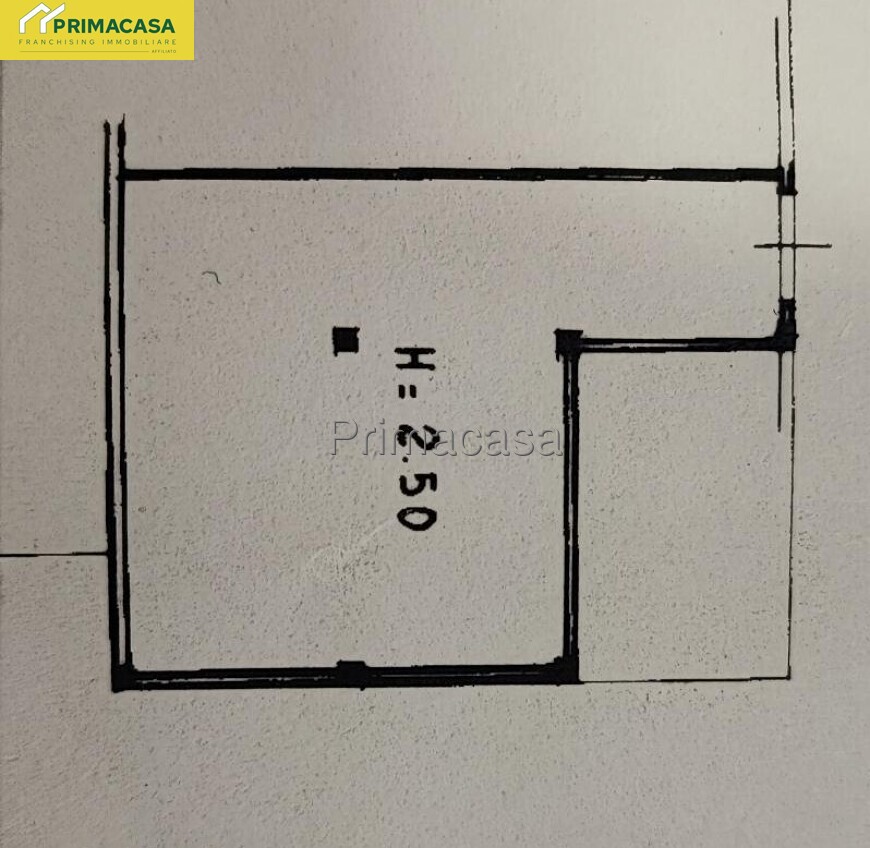 Foto plan. modificata.jpg Foto plan. modificata.jpg