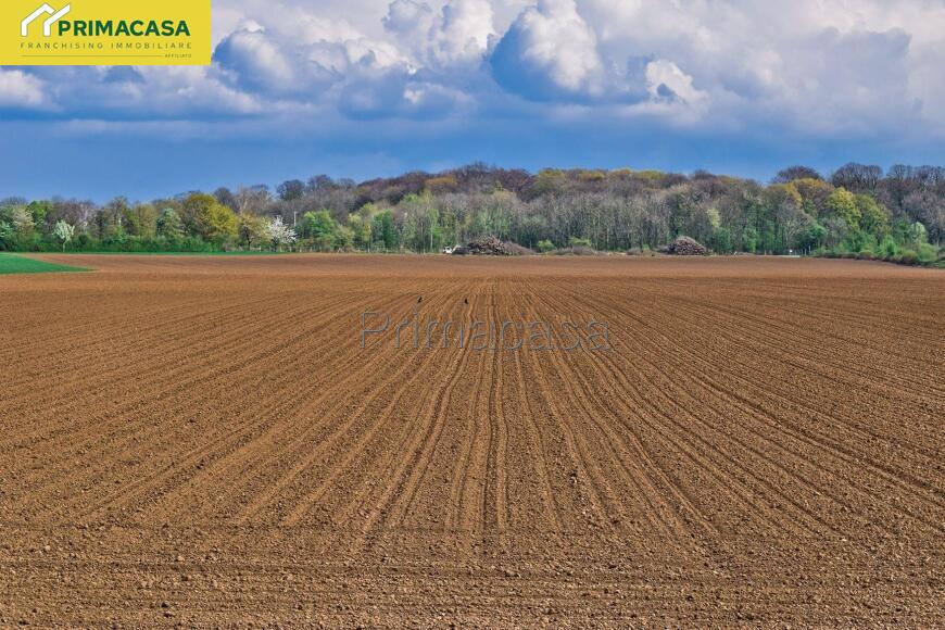 preparazione-terreno.jpg preparazione-terreno.jpg