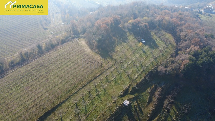 DJI_0497.jpg DJI_0497.jpg