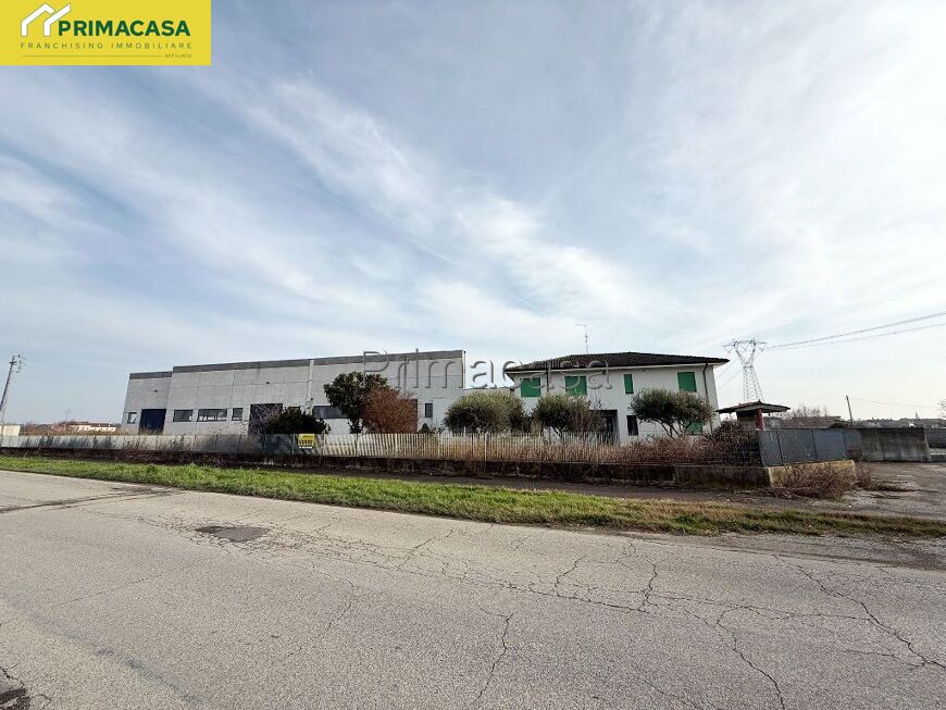 WhatsApp Image 2025-12-22 at 11.10.50 (4).jpeg WhatsApp Image 2025-12-22 at 11.10.50 (4).jpeg