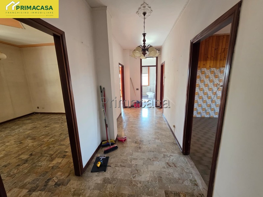 0d57f234-53ec-409b-8de1-7df243cefa0c.JPG 0d57f234-53ec-409b-8de1-7df243cefa0c.JPG