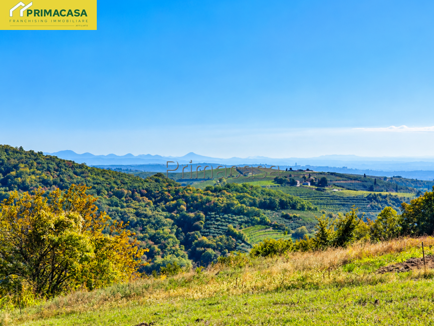 Panorama rurale tra colline e vigneti (1).png Panorama rurale tra colline e vigneti (1).png